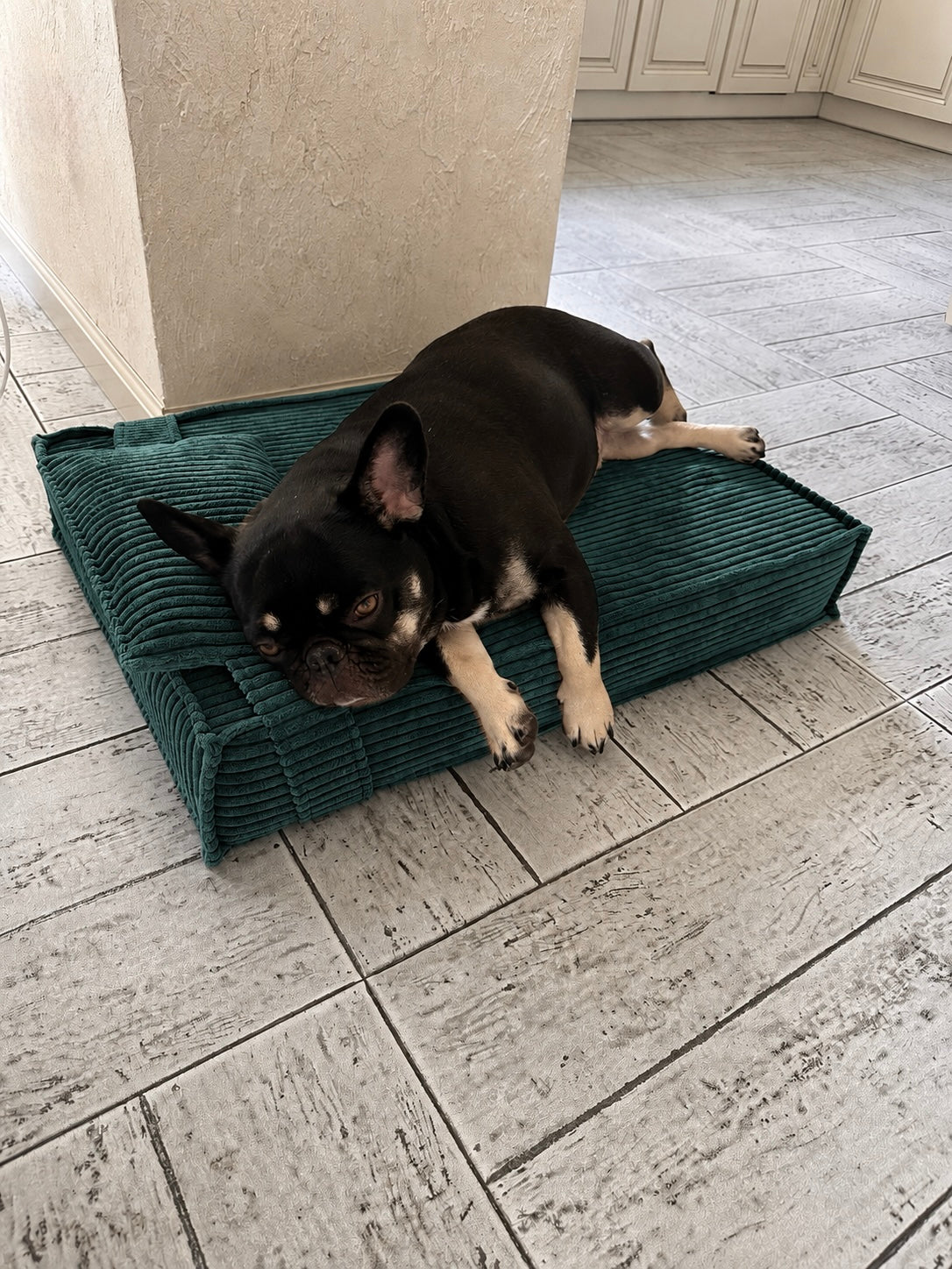 Zachte corduroy ligmand voor hond en kat, maat L, Zeegroen — aanzicht 3