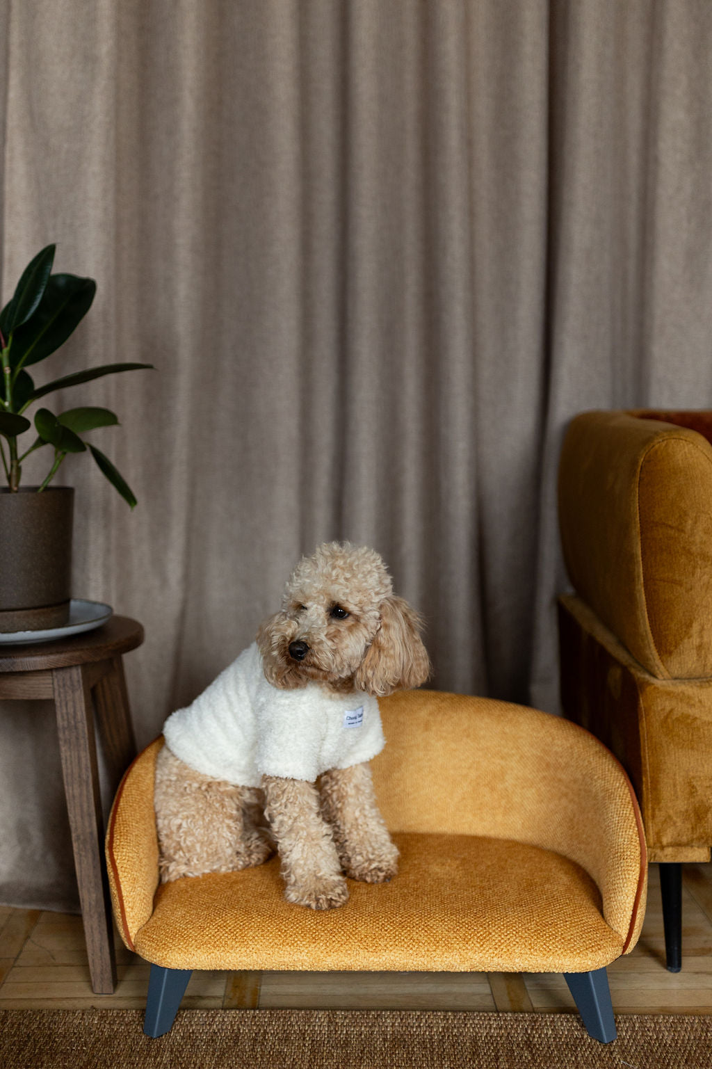 Sofa voor hond en kat, maat L, Honingmosterd met structuur, cognac bies, witte poten — aanzicht 3