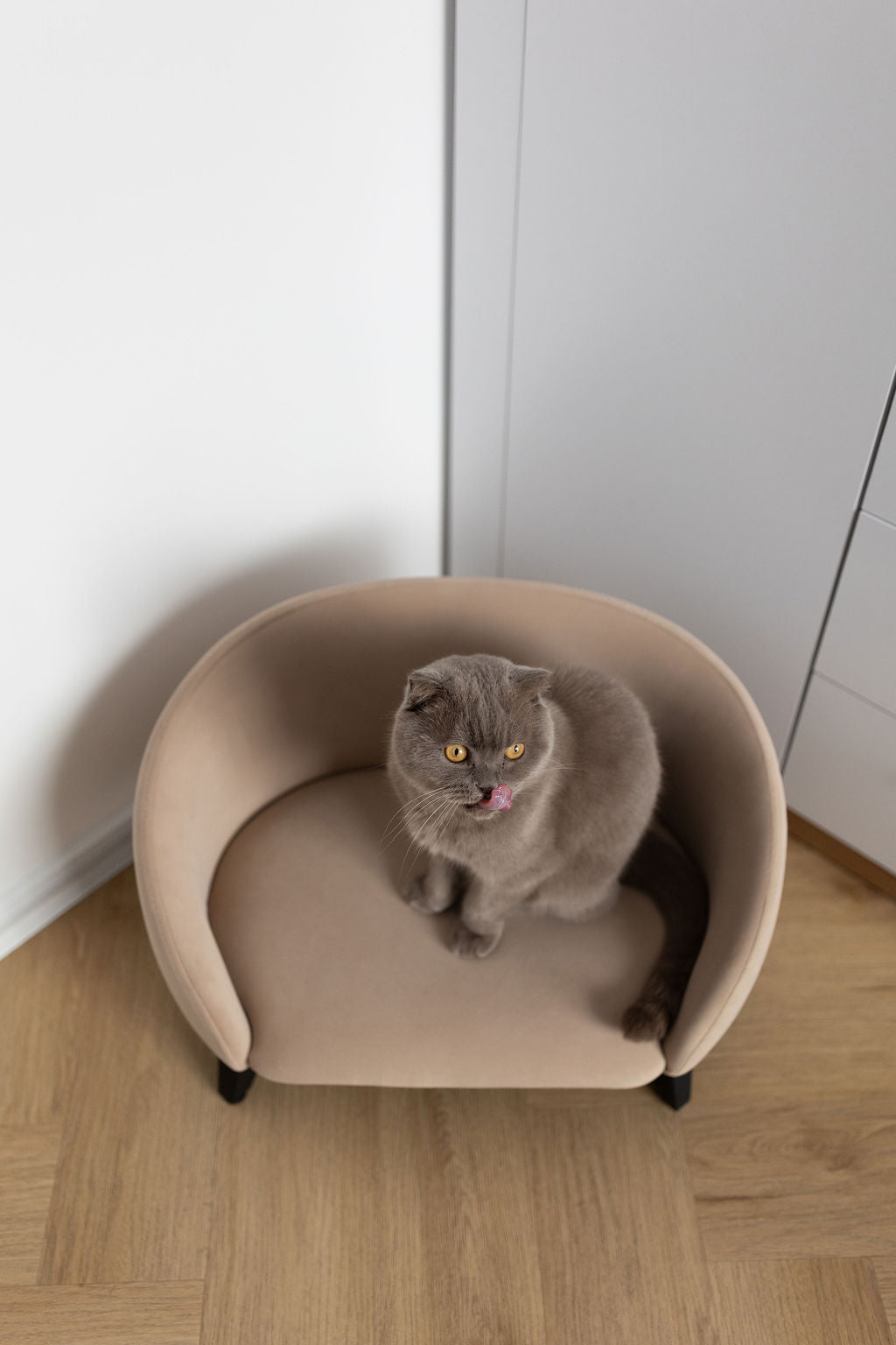 Pet sofa for dogs and cats, size S, Beige — view 10