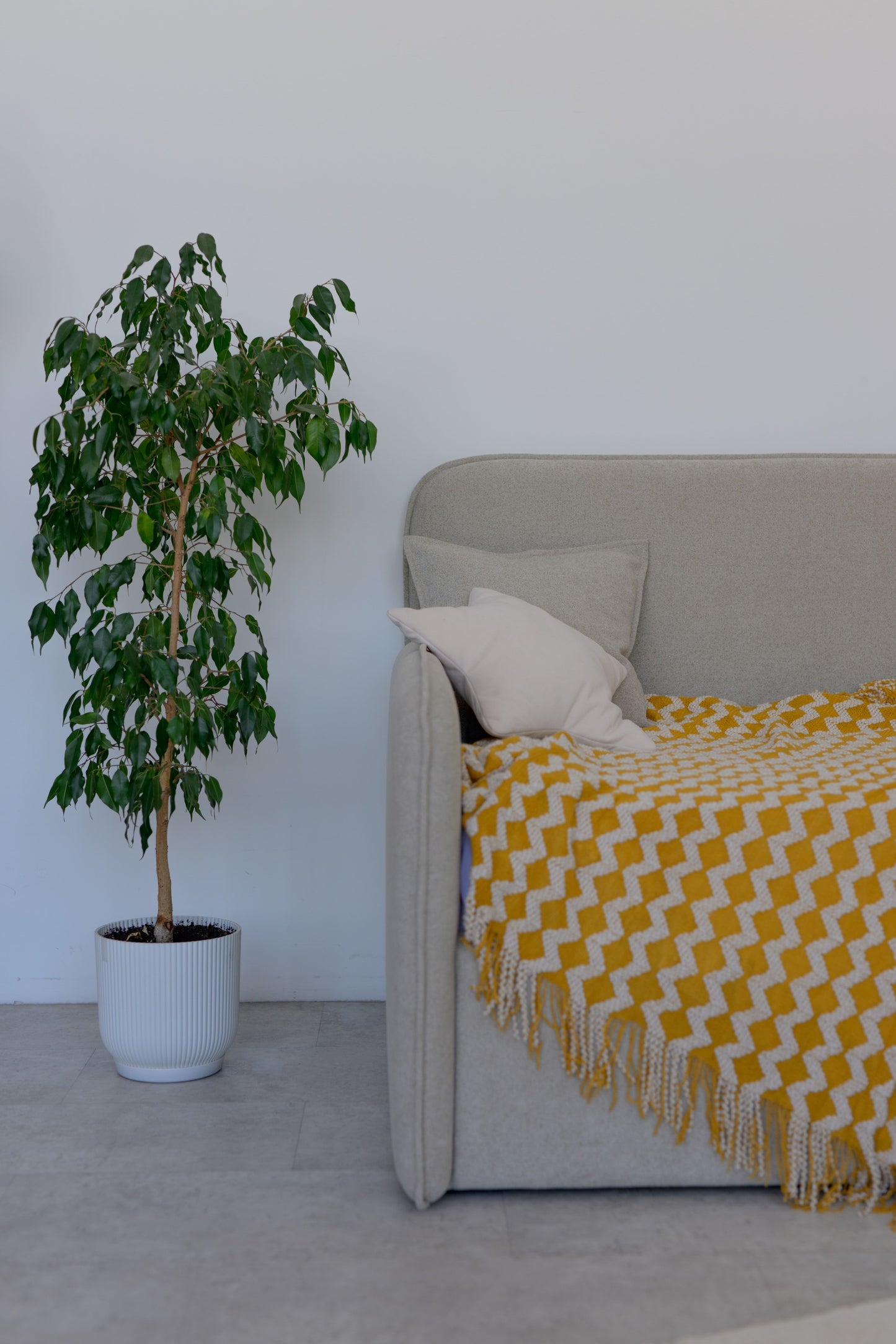 Children's bed Tim Lounge, size 90x200 cm, Sandy